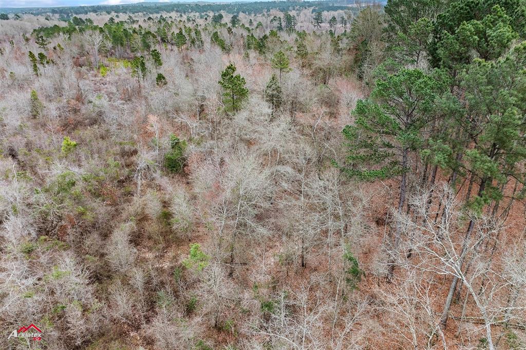 Tbd Haynes Road Property Photo 22