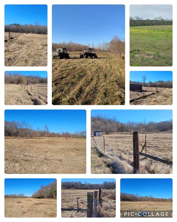 10774 County Road 494 Property Photo