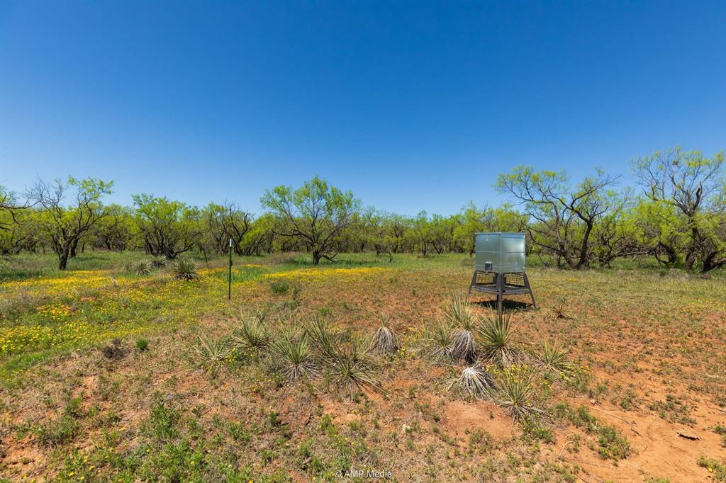 Tbd County Road 121 Property Photo