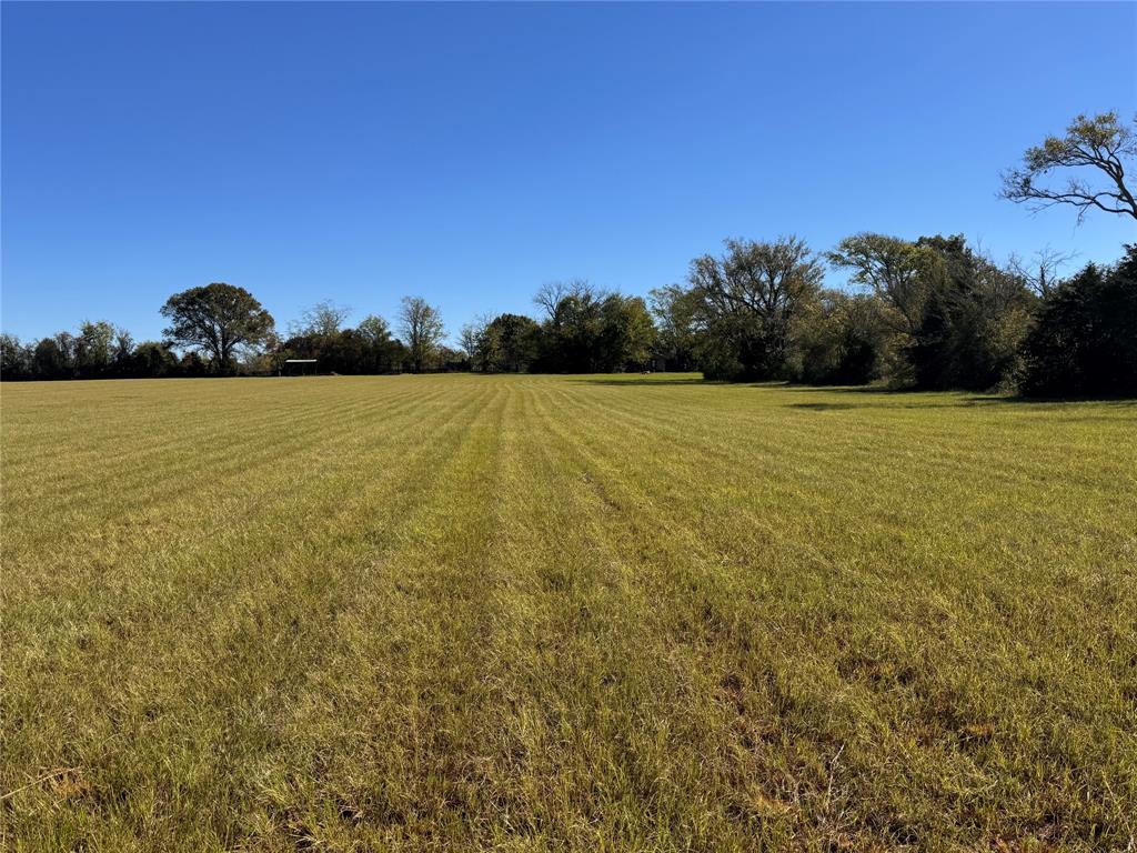 977 N Farm-to-market Road 17 Property Photo 5