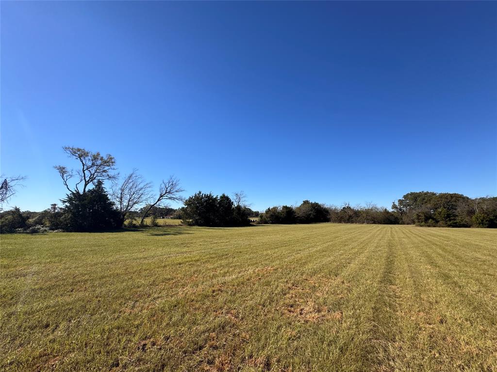 977 N Farm-to-market Road 17 Property Photo 9