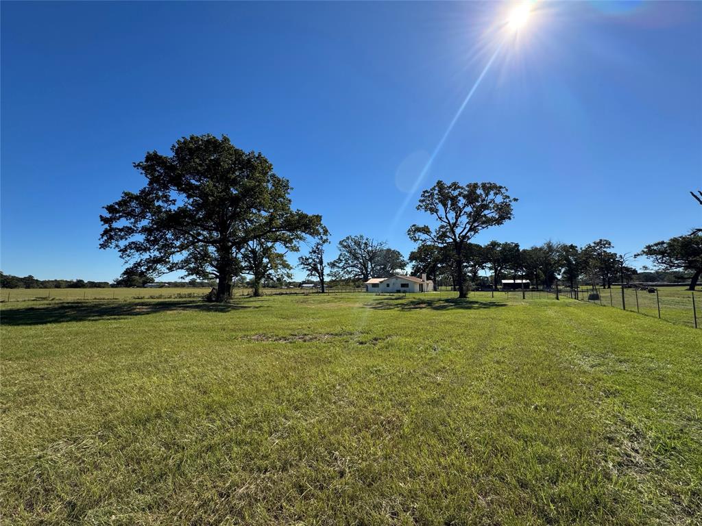 977 N Farm-to-market Road 17 Property Photo 13