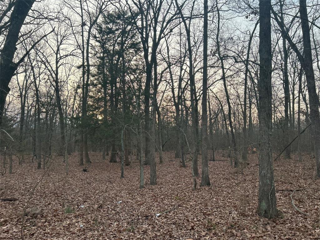 Lot 3 Hwy 82 East Property Photo