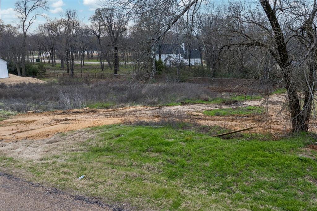 202 Splitrail Drive Property Photo 10