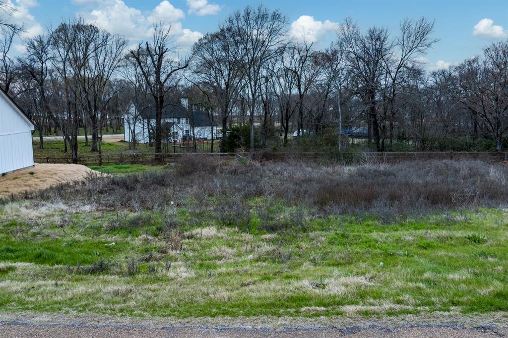 204 Splitrail Drive Property Photo 8
