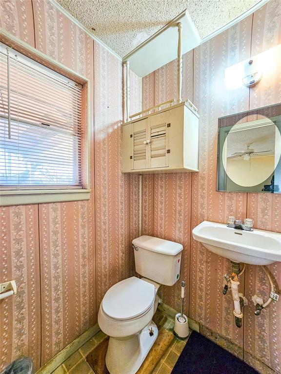 114 Scott Street Property Photo 15
