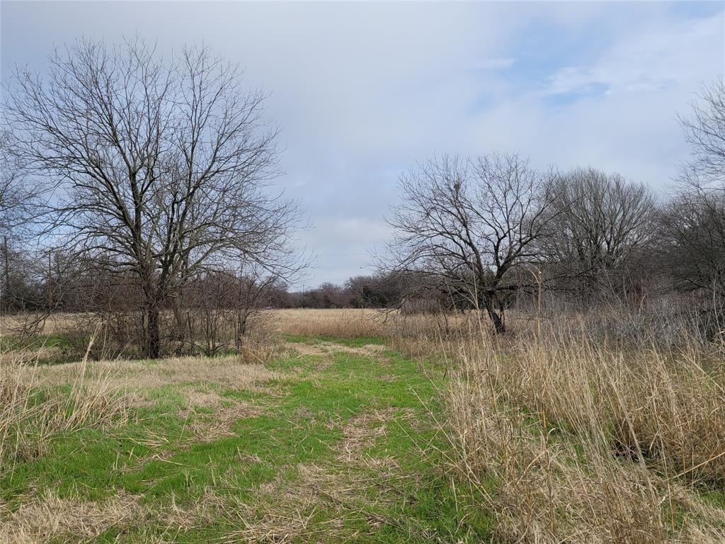Coyote Flats Real Estate Listings Main Image