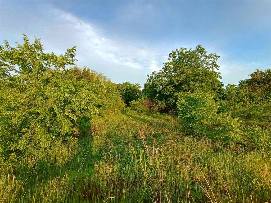 5330 I-30 Property Photo 29