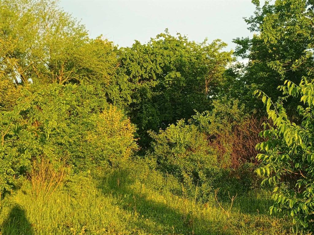 5330 I-30 Property Photo 34