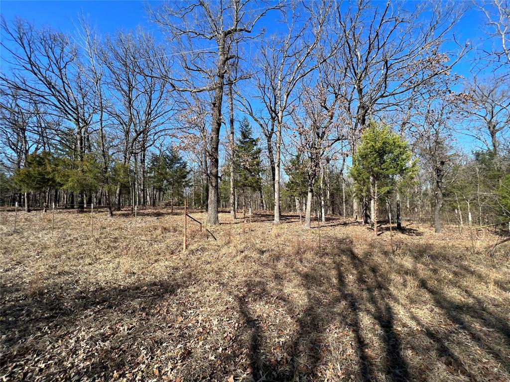 Tbd County Road 3376(lot 67) Property Photo