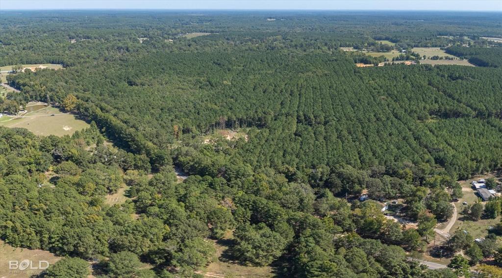 0 Old Plain Dealing Property Photo 16