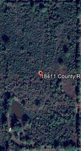 18411 County Road 3134 Property Photo 2