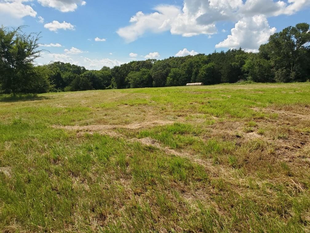Lot 3 Rains Cr1140 Road Property Photo 4