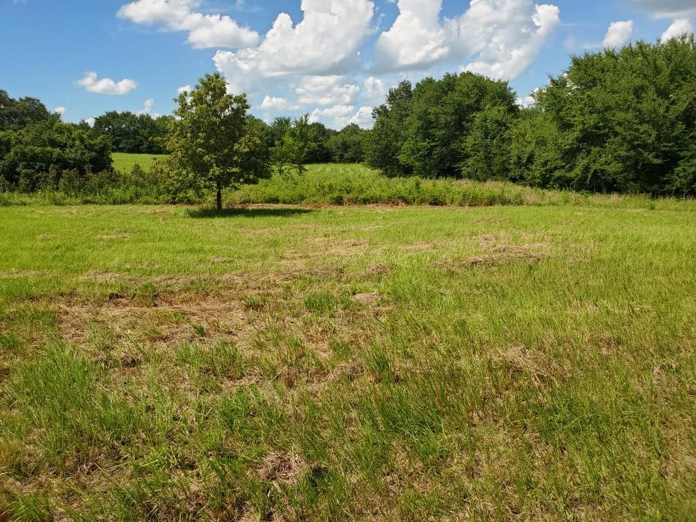 Lot 3 Rains Cr1140 Road Property Photo 5