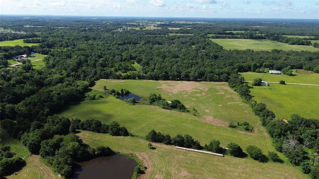 Lot 3 Rains Cr1140 Road Property Photo 7