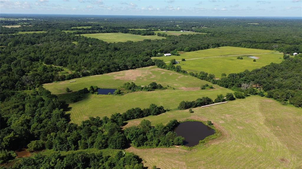 Lot 3 Rains Cr1140 Road Property Photo 8