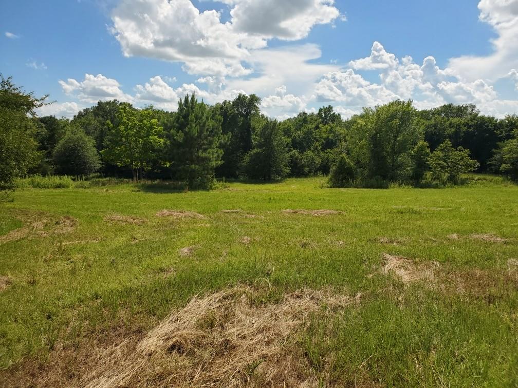 Lot 3 Rains Cr1140 Road Property Photo 9
