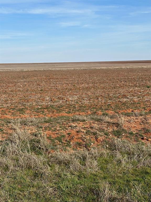 Tbd 110.9 Acres Fm 2834 Highway Property Photo 1