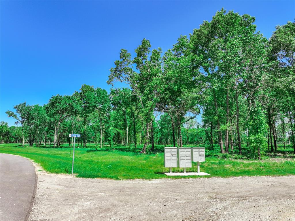 Tbd Private Road 5862 Property Photo 14