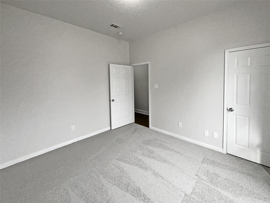 2605 Brushy Creek Trail Property Photo 19