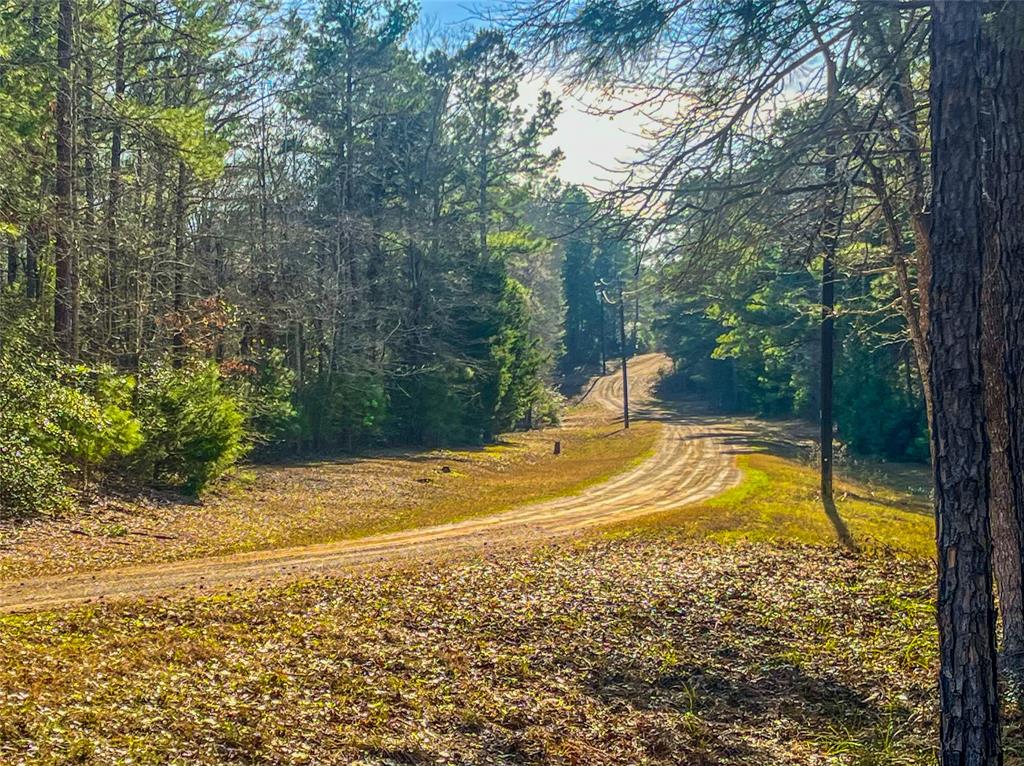 0 E Private Road 8344 Property Photo