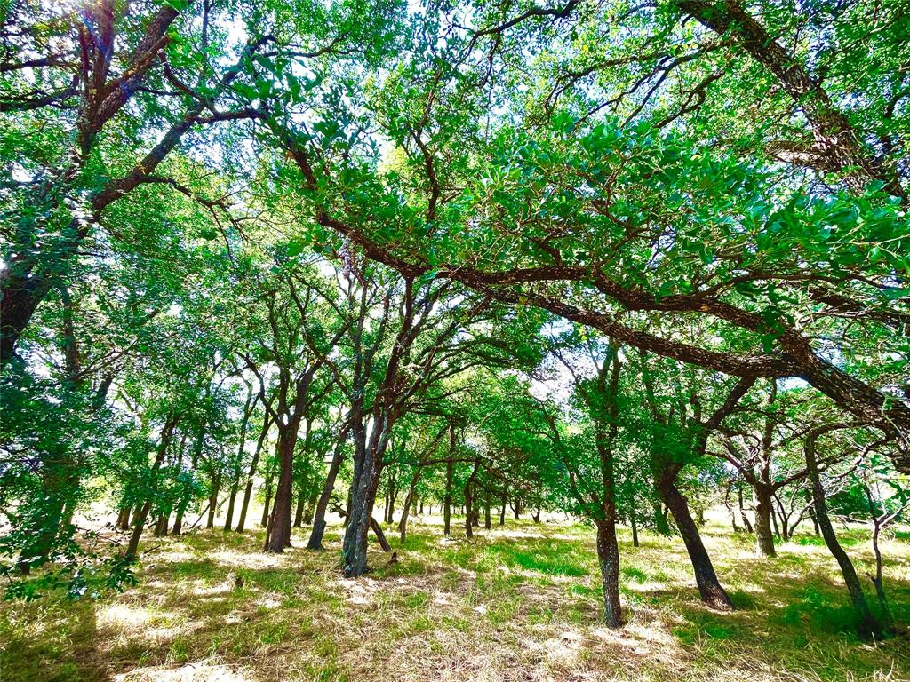 10840 281 Highway Property Photo