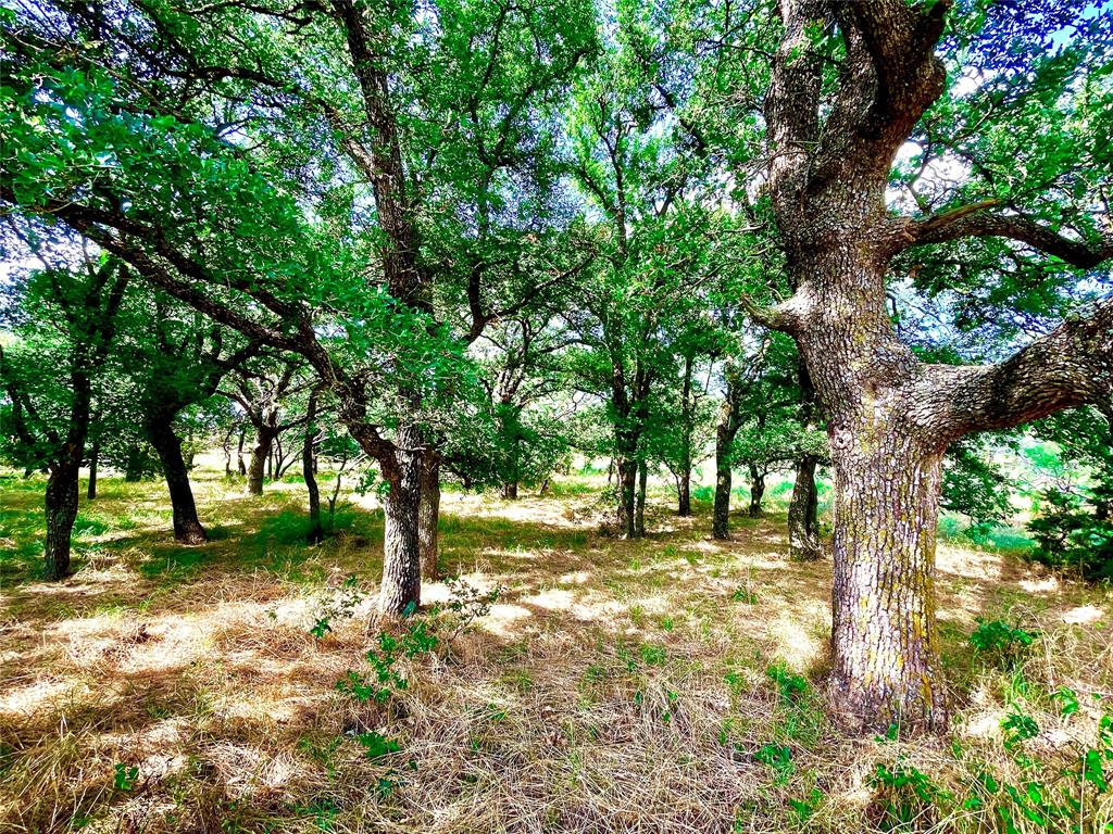 10540 281 Highway Property Photo