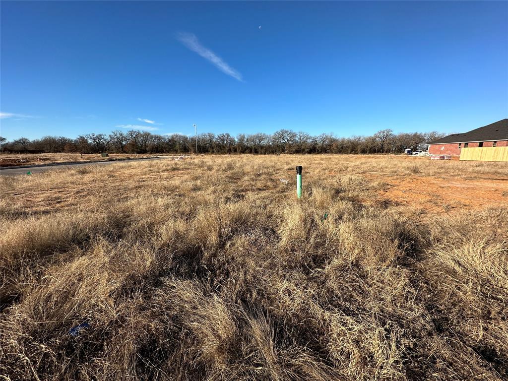 1107 Wild Rose Drive Property Photo