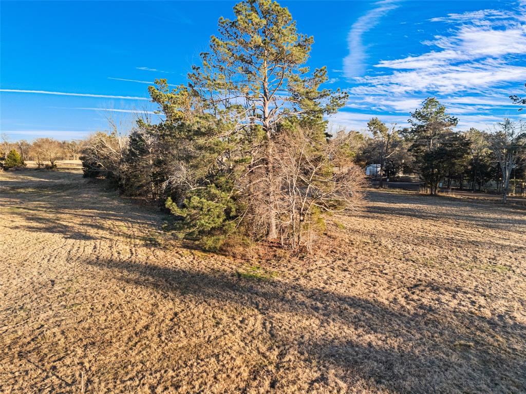 12753 Ridgeway Court Property Photo 7