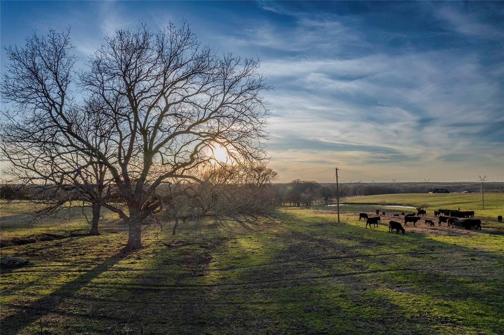 14867 Farm To Market 274 Property Photo