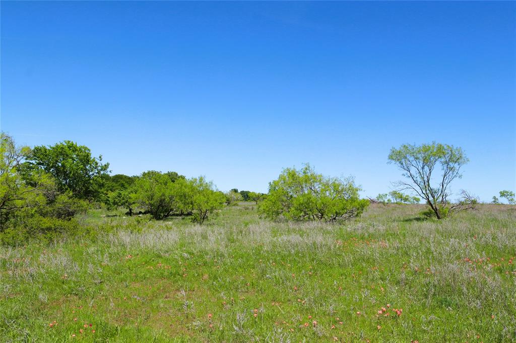 10543 Old Joy Shannon Road Property Photo 35