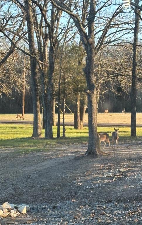 Lot 8 Water Oak Road Property Photo 5