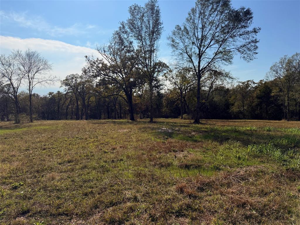 527 Us Highway 175 Property Photo 1