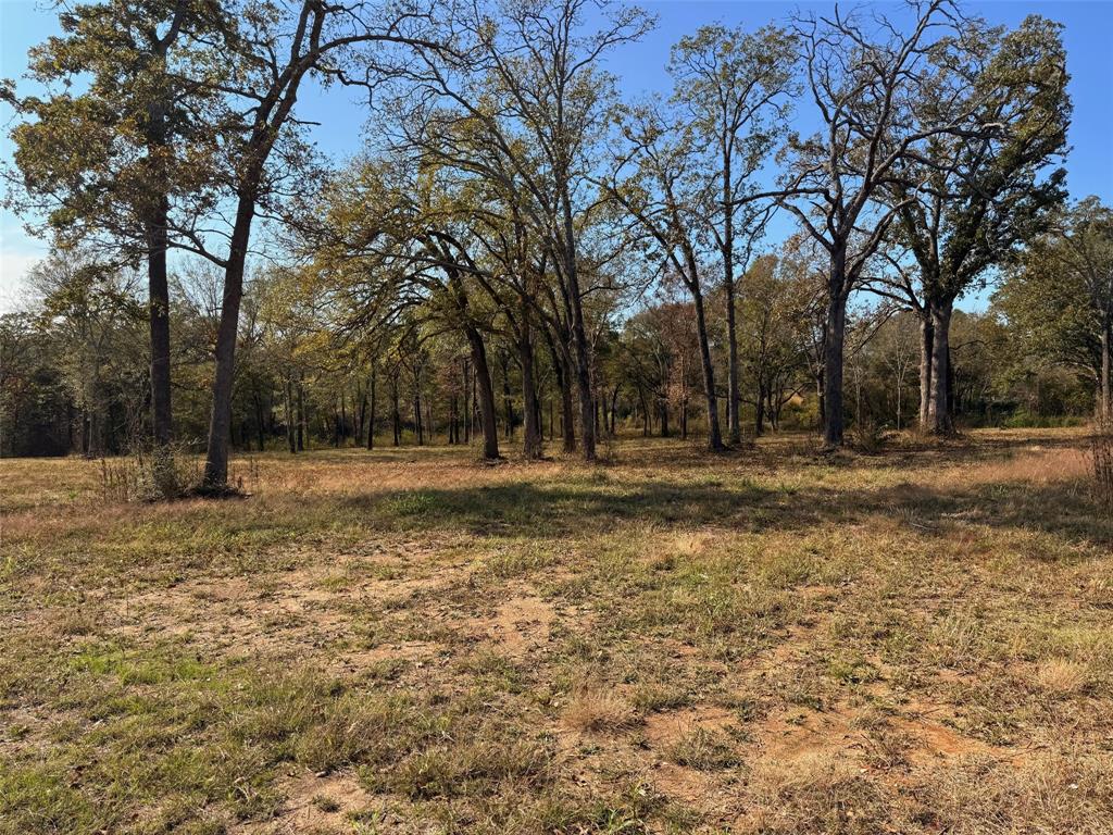 527 Us Highway 175 Property Photo 4