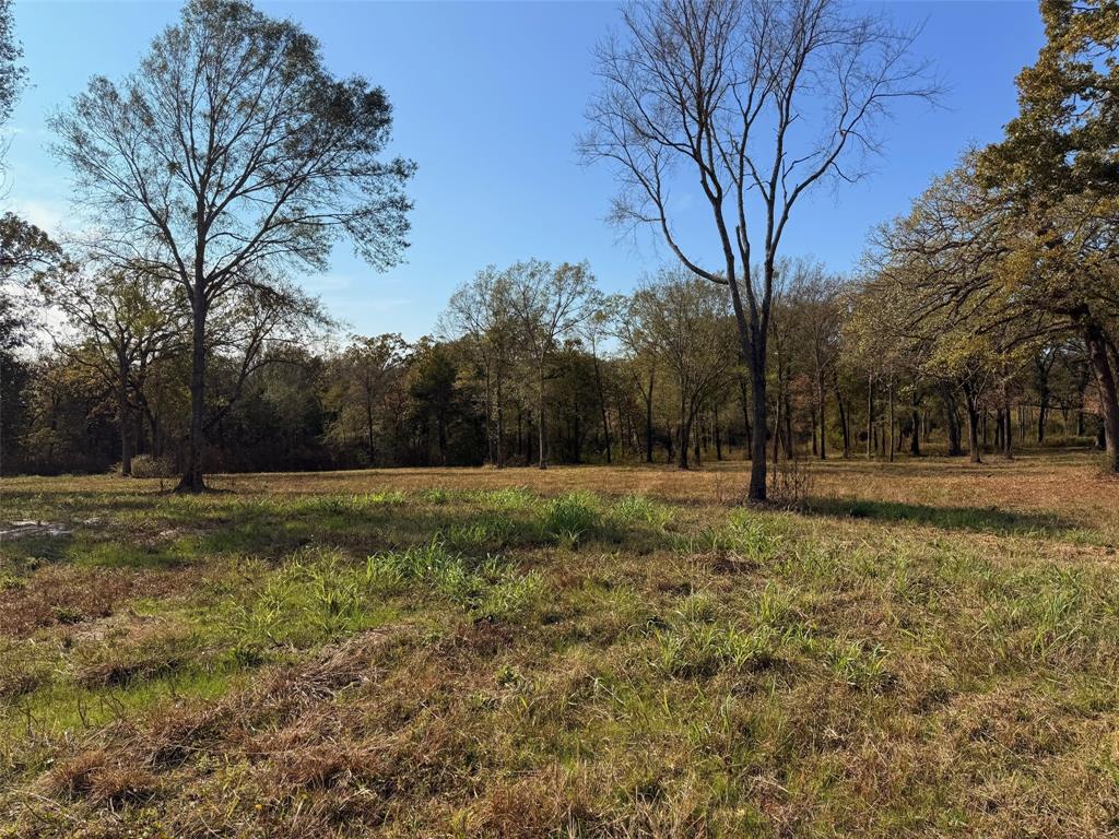 527 Us Highway 175 Property Photo 5