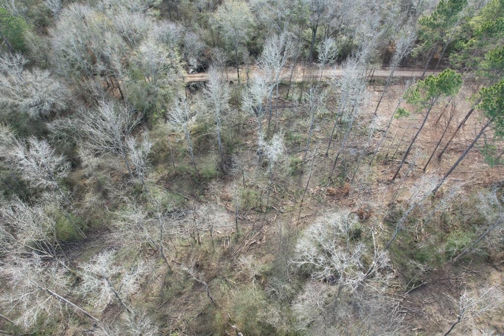 Tract B County Road 4037 Property Photo 6