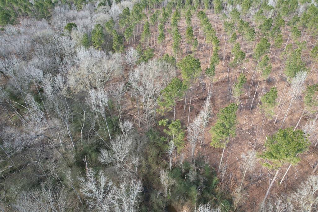 Tract B County Road 4037 Property Photo 8