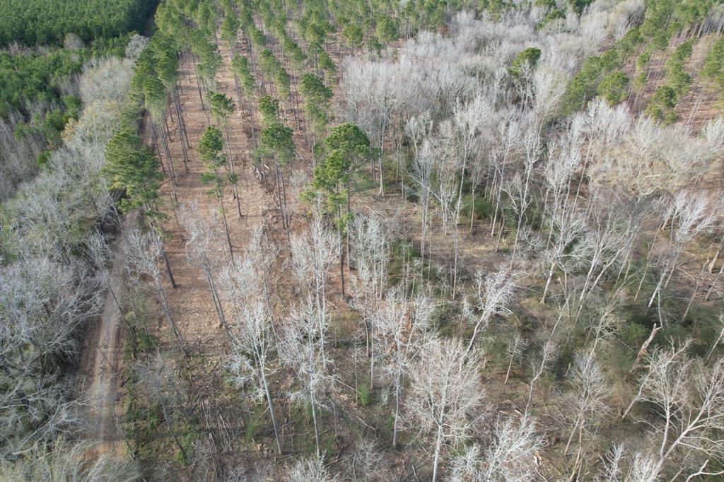 Tract B County Road 4037 Property Photo 9