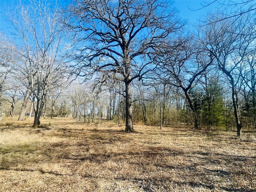 251 County Road 1216 Property Photo