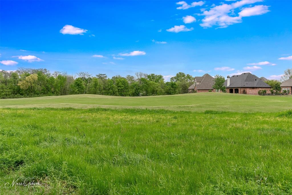 528 Hunters Run Property Photo 34