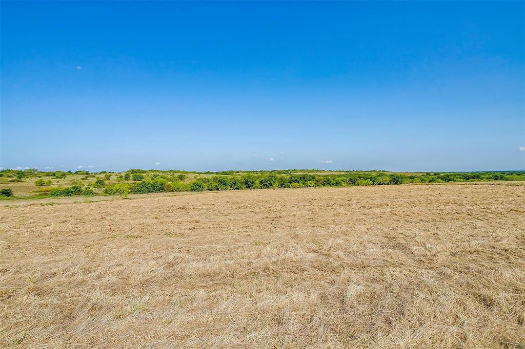 965 San Jacinto Property Photo 15