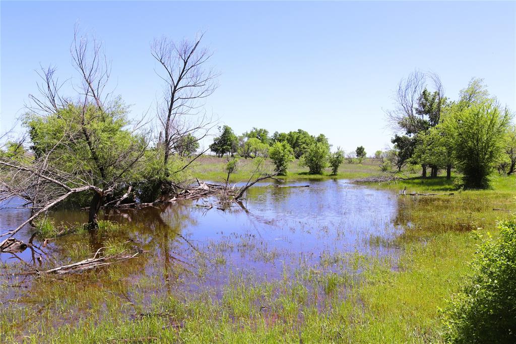 40 Acres Sears Mayfield Rd Property Photo 3
