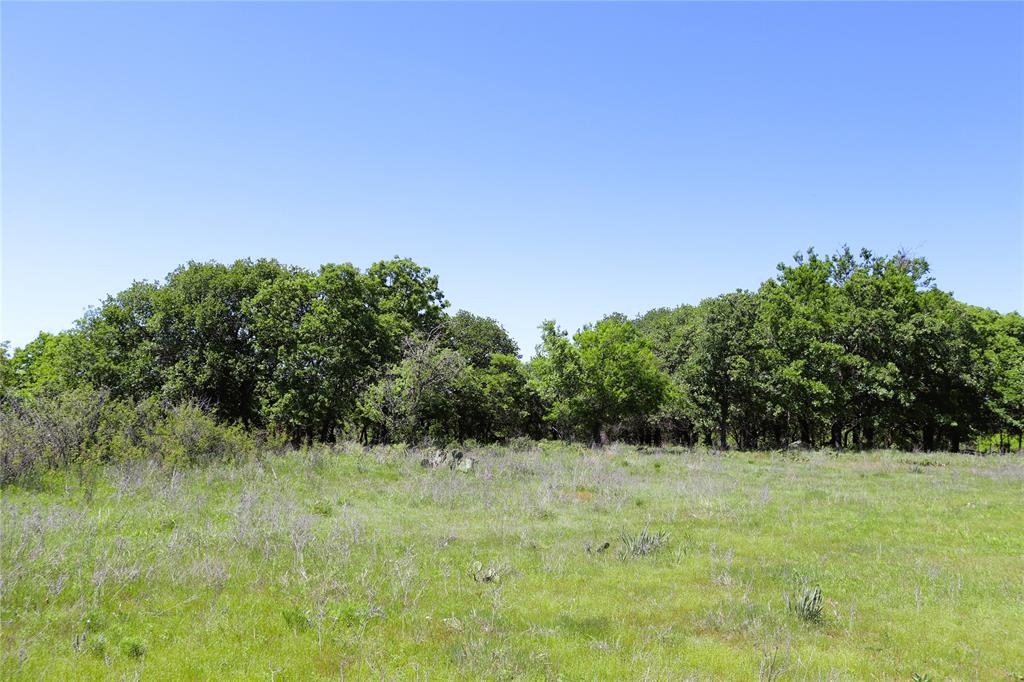40 Acres Sears Mayfield Rd Property Photo 10