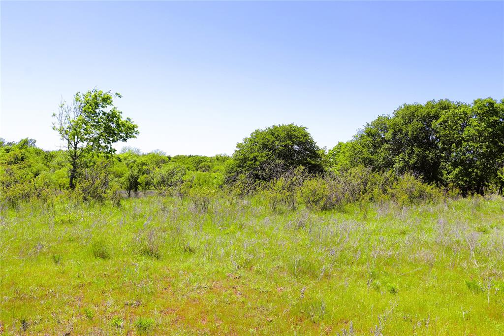 40 Acres Sears Mayfield Rd Property Photo 11