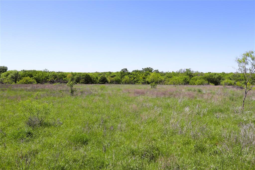 40 Acres Sears Mayfield Rd Property Photo 13
