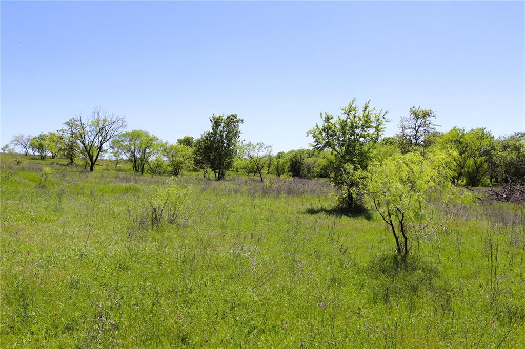 40 Acres Sears Mayfield Rd Property Photo 14