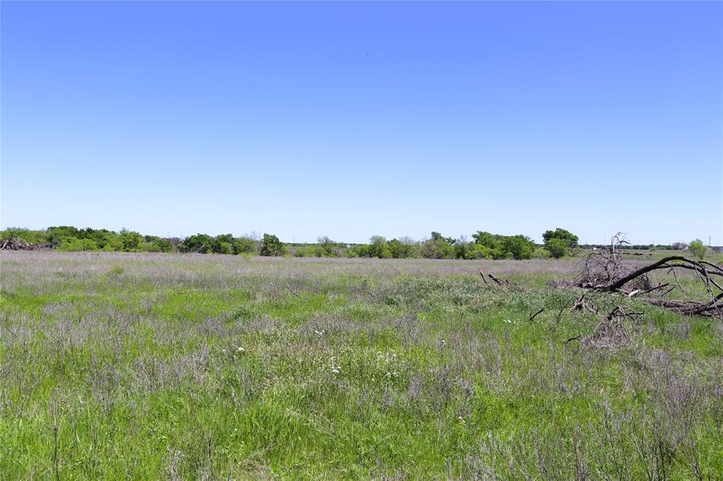 40 Acres Sears Mayfield Rd Property Photo 15