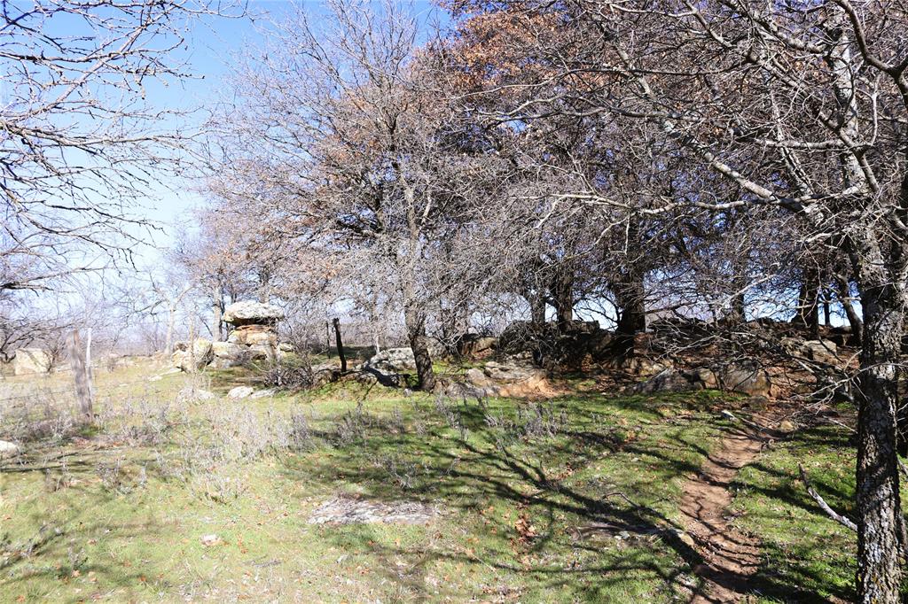40 Acres Sears Mayfield Rd Property Photo 17