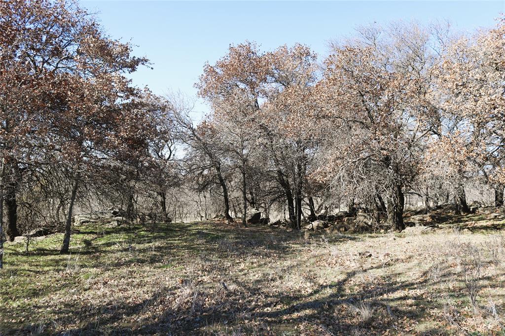 40 Acres Sears Mayfield Rd Property Photo 18