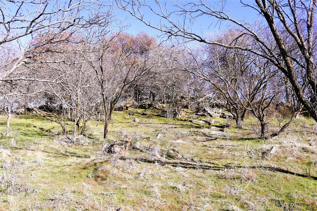 40 Acres Sears Mayfield Rd Property Photo 19